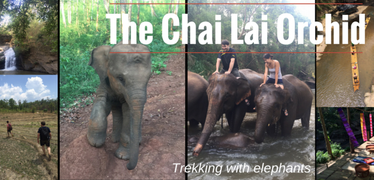 The Chai Lai